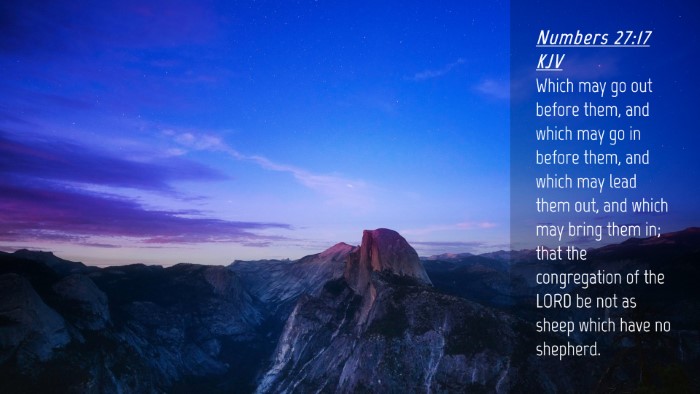 Picture 04 - Numbers 27:17 KJV Desktop Wallpaper - Which may go out before them, and which may go in - Desktop Bible Verse Wallpaper