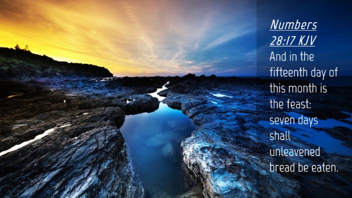 Picture 04 - Numbers 28:17 KJV Desktop Wallpaper - And in the fifteenth day of this month is the - Desktop Bible Verse Wallpaper