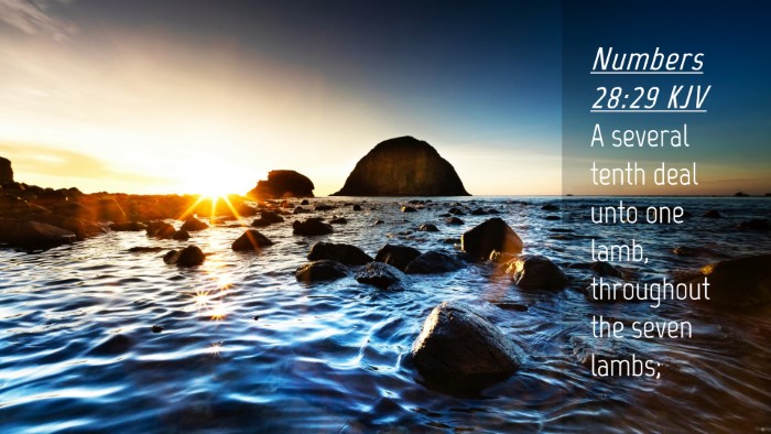 Picture 04 - Numbers 28:29 KJV Desktop Wallpaper - A several tenth deal unto one lamb, throughout - Desktop Bible Verse Wallpaper