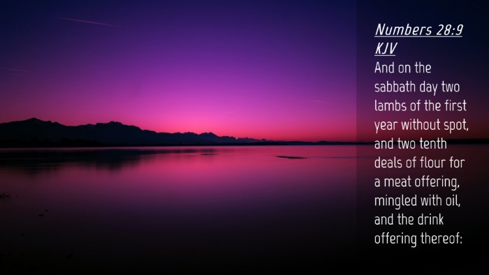 Picture 04 - Numbers 28:9 KJV Desktop Wallpaper - And on the sabbath day two lambs of the first - Desktop Bible Verse Wallpaper