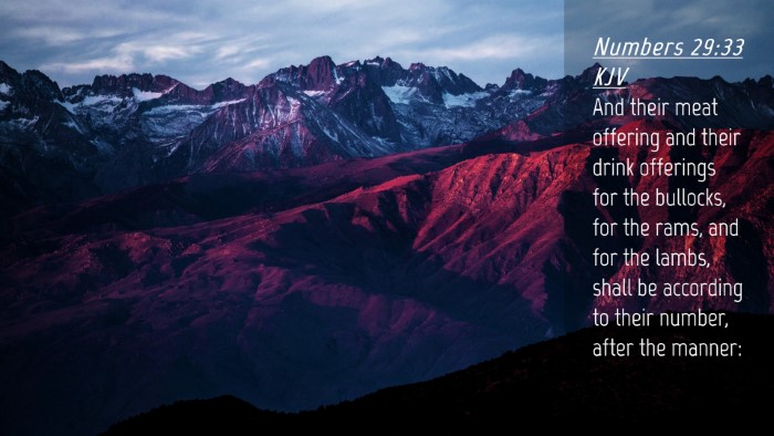 Picture 04 - Numbers 29:33 KJV Desktop Wallpaper - And their meat offering and their drink offerings - Desktop Bible Verse Wallpaper