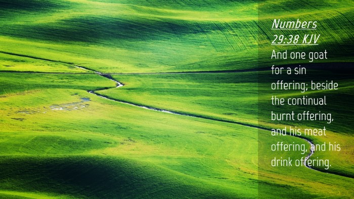Picture 04 - Numbers 29:38 KJV Desktop Wallpaper - And one goat for a sin offering; beside the - Desktop Bible Verse Wallpaper