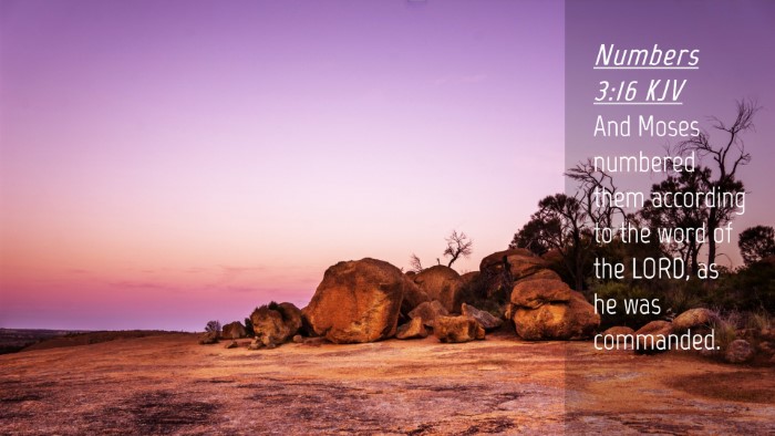 Picture 04 - Numbers 3:16 KJV Desktop Wallpaper - And Moses numbered them according to the word of - Desktop Bible Verse Wallpaper