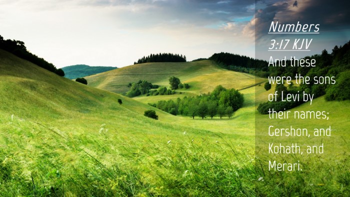 Picture 04 - Numbers 3:17 KJV Desktop Wallpaper - And these were the sons of Levi by their names; - Desktop Bible Verse Wallpaper