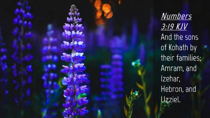 Picture 04 - Numbers 3:19 KJV Desktop Wallpaper - And the sons of Kohath by their families; Amram, - Desktop Bible Verse Wallpaper