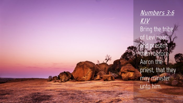 Picture 04 - Numbers 3:6 KJV Desktop Wallpaper - Bring the tribe of Levi near, and present them - Desktop Bible Verse Wallpaper