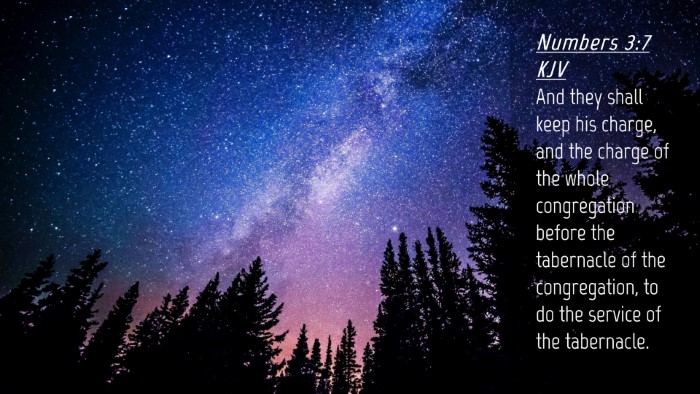 Picture 04 - Numbers 3:7 KJV Desktop Wallpaper - And they shall keep his charge, and the charge of - Desktop Bible Verse Wallpaper