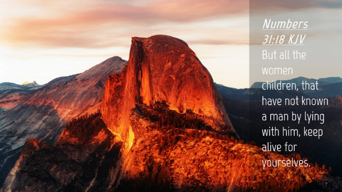 Picture 04 - Numbers 31:18 KJV Desktop Wallpaper - But all the women children, that have not known a - Desktop Bible Verse Wallpaper