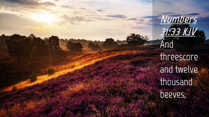 Picture 04 - Numbers 31:33 KJV Desktop Wallpaper - And threescore and twelve thousand - Desktop Bible Verse Wallpaper