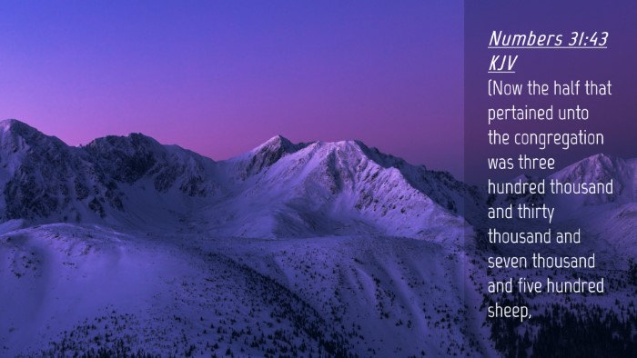 Picture 04 - Numbers 31:43 KJV Desktop Wallpaper - (Now the half that pertained unto the - Desktop Bible Verse Wallpaper