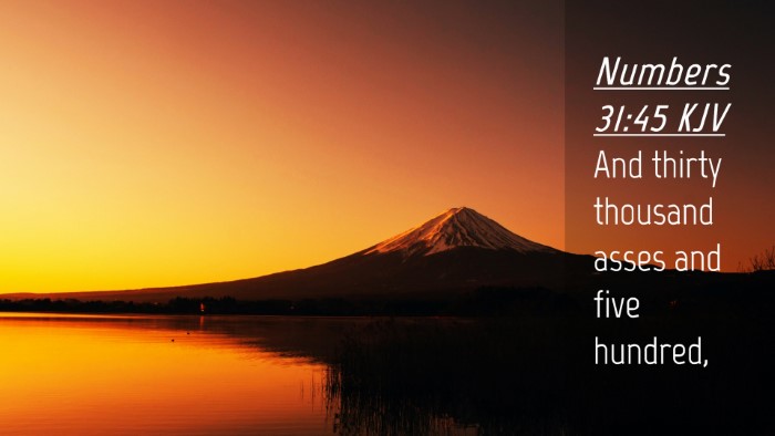 Picture 04 - Numbers 31:45 KJV Desktop Wallpaper - And thirty thousand asses and five - Desktop Bible Verse Wallpaper
