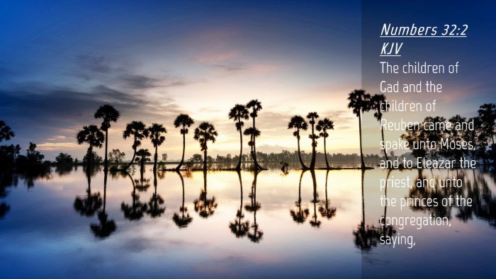 Picture 04 - Numbers 32:2 KJV Desktop Wallpaper - The children of Gad and the children of Reuben - Desktop Bible Verse Wallpaper