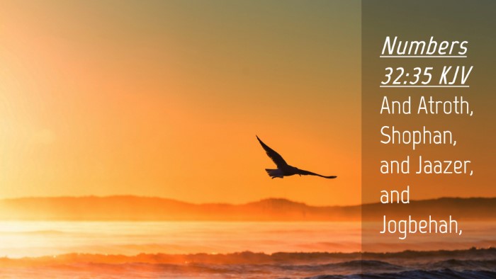 Picture 04 - Numbers 32:35 KJV Desktop Wallpaper - And Atroth, Shophan, and Jaazer, and - Desktop Bible Verse Wallpaper