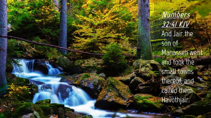 Picture 04 - Numbers 32:41 KJV Desktop Wallpaper - And Jair the son of Manasseh went and took the - Desktop Bible Verse Wallpaper
