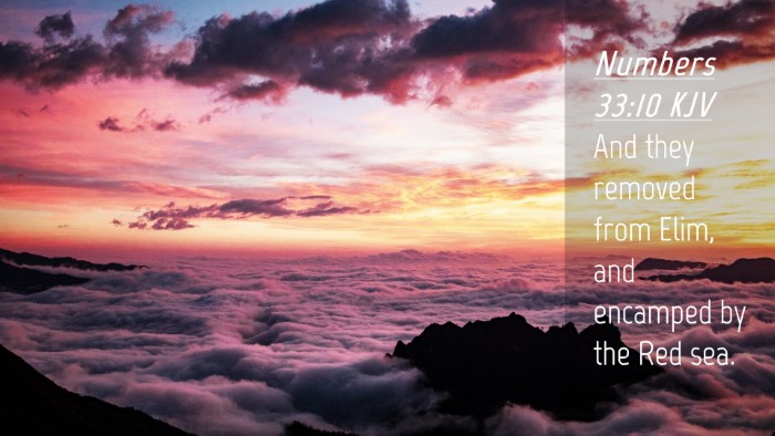 Picture 04 - Numbers 33:10 KJV Desktop Wallpaper - And they removed from Elim, and encamped by the - Desktop Bible Verse Wallpaper
