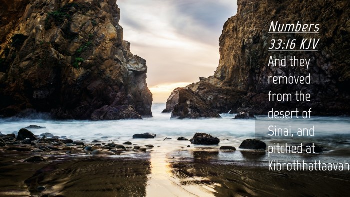 Picture 04 - Numbers 33:16 KJV Desktop Wallpaper - And they removed from the desert of Sinai, and - Desktop Bible Verse Wallpaper