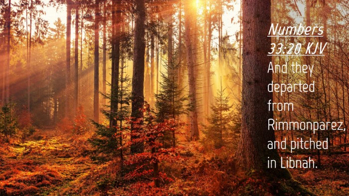 Picture 04 - Numbers 33:20 KJV Desktop Wallpaper - And they departed from Rimmonparez, and pitched - Desktop Bible Verse Wallpaper