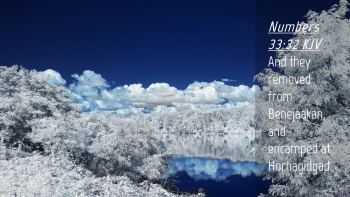Picture 04 - Numbers 33:32 KJV Desktop Wallpaper - And they removed from Benejaakan, and encamped at - Desktop Bible Verse Wallpaper