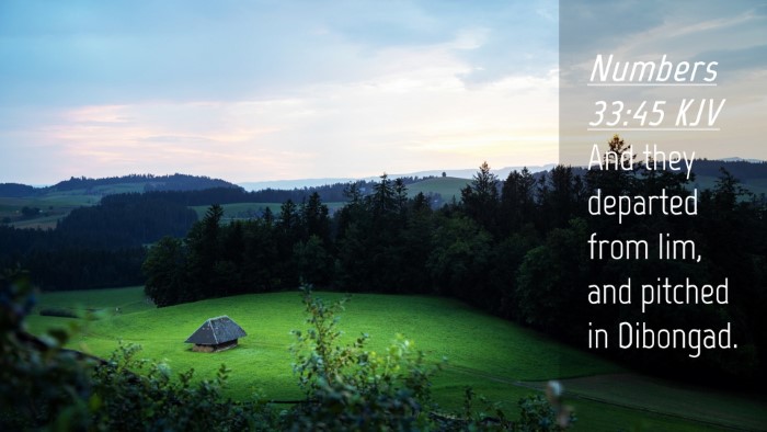 Picture 04 - Numbers 33:45 KJV Desktop Wallpaper - And they departed from Iim, and pitched in - Desktop Bible Verse Wallpaper