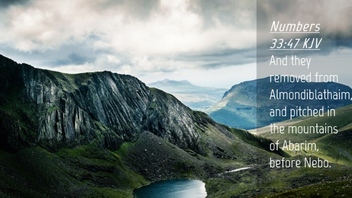 Picture 04 - Numbers 33:47 KJV Desktop Wallpaper - And they removed from Almondiblathaim, and - Desktop Bible Verse Wallpaper