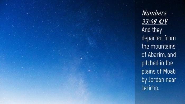 Picture 04 - Numbers 33:48 KJV Desktop Wallpaper - And they departed from the mountains of Abarim, - Desktop Bible Verse Wallpaper
