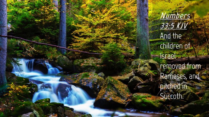 Picture 04 - Numbers 33:5 KJV Desktop Wallpaper - And the children of Israel removed from Rameses, - Desktop Bible Verse Wallpaper