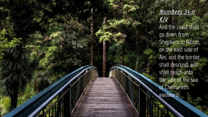 Picture 04 - Numbers 34:11 KJV Desktop Wallpaper - And the coast shall go down from Shepham to - Desktop Bible Verse Wallpaper