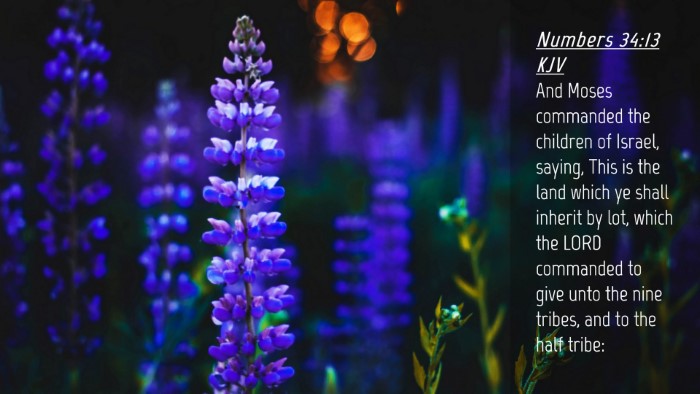 Picture 04 - Numbers 34:13 KJV Desktop Wallpaper - And Moses commanded the children of Israel, - Desktop Bible Verse Wallpaper