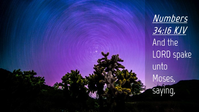 Picture 04 - Numbers 34:16 KJV Desktop Wallpaper - And the LORD spake unto Moses, - Desktop Bible Verse Wallpaper