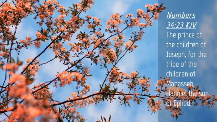 Picture 04 - Numbers 34:23 KJV Desktop Wallpaper - The prince of the children of Joseph, for the - Desktop Bible Verse Wallpaper