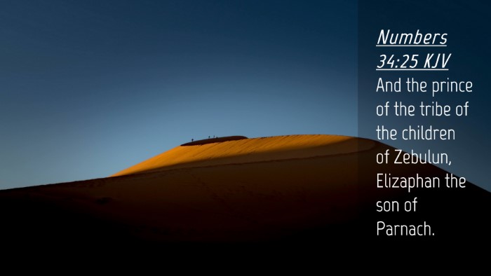 Picture 04 - Numbers 34:25 KJV Desktop Wallpaper - And the prince of the tribe of the children of - Desktop Bible Verse Wallpaper