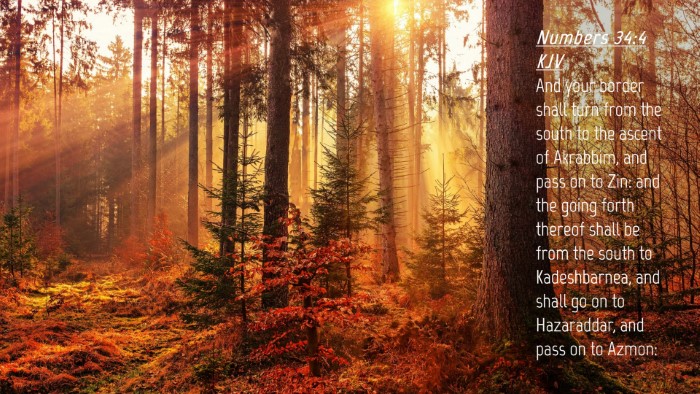 Picture 04 - Numbers 34:4 KJV Desktop Wallpaper - And your border shall turn from the south to the - Desktop Bible Verse Wallpaper