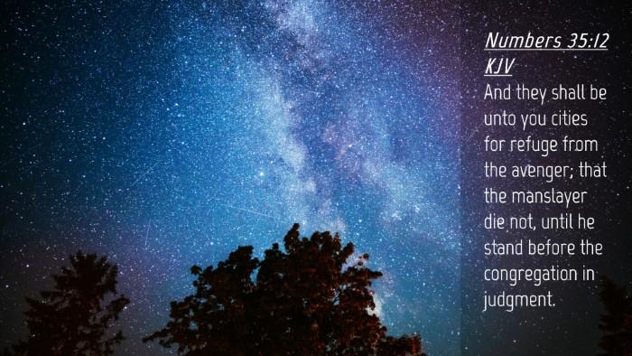 Picture 04 - Numbers 35:12 KJV Desktop Wallpaper - And they shall be unto you cities for refuge from - Desktop Bible Verse Wallpaper