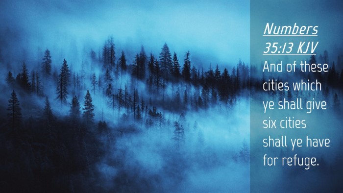 Picture 04 - Numbers 35:13 KJV Desktop Wallpaper - And of these cities which ye shall give six - Desktop Bible Verse Wallpaper