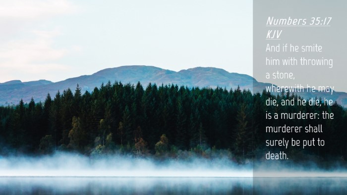 Picture 04 - Numbers 35:17 KJV Desktop Wallpaper - And if he smite him with throwing a stone, - Desktop Bible Verse Wallpaper