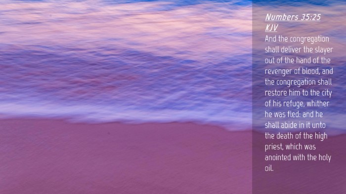 Picture 04 - Numbers 35:25 KJV Desktop Wallpaper - And the congregation shall deliver the slayer out - Desktop Bible Verse Wallpaper