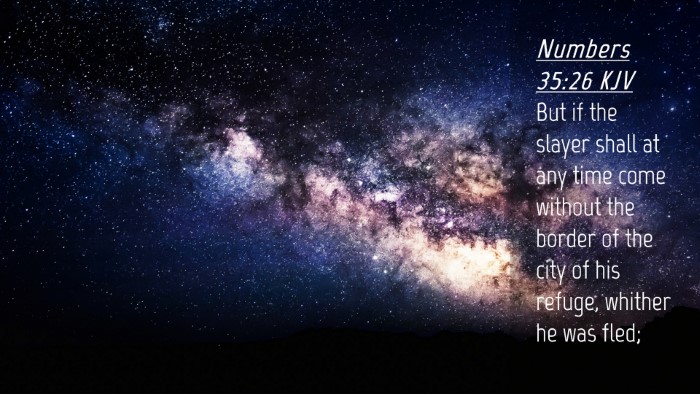 Picture 04 - Numbers 35:26 KJV Desktop Wallpaper - But if the slayer shall at any time come without - Desktop Bible Verse Wallpaper