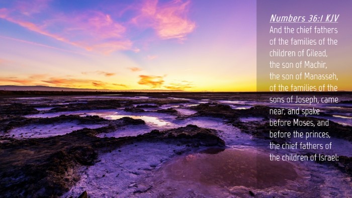 Picture 04 - Numbers 36:1 KJV Desktop Wallpaper - And the chief fathers of the families of the - Desktop Bible Verse Wallpaper