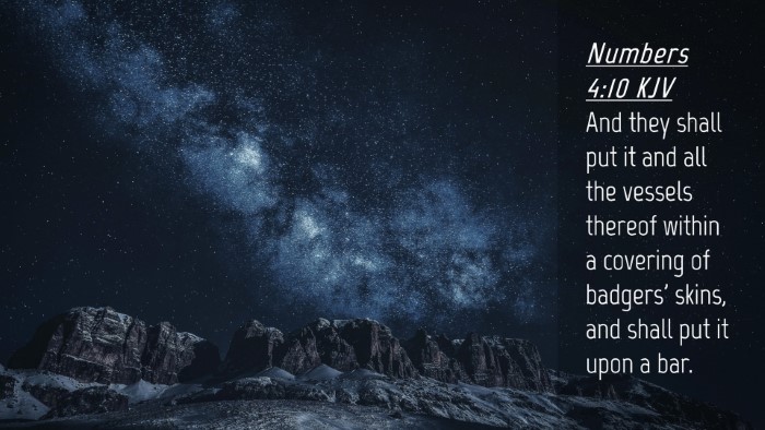 Picture 04 - Numbers 4:10 KJV Desktop Wallpaper - And they shall put it and all the vessels thereof - Desktop Bible Verse Wallpaper