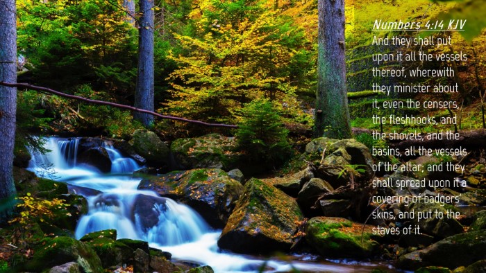 Picture 04 - Numbers 4:14 KJV Desktop Wallpaper - And they shall put upon it all the vessels - Desktop Bible Verse Wallpaper