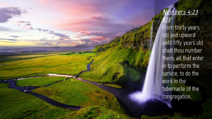 Picture 04 - Numbers 4:23 KJV Desktop Wallpaper - From thirty years old and upward until fifty - Desktop Bible Verse Wallpaper