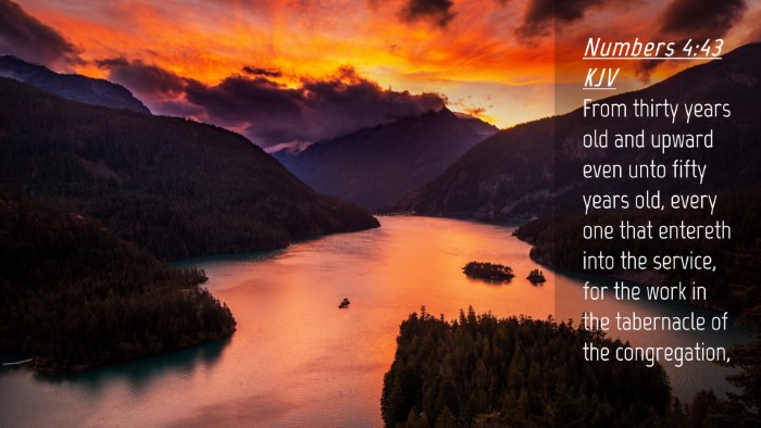 Picture 04 - Numbers 4:43 KJV Desktop Wallpaper - From thirty years old and upward even unto fifty - Desktop Bible Verse Wallpaper