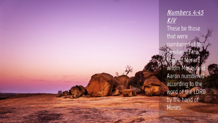 Picture 04 - Numbers 4:45 KJV Desktop Wallpaper - These be those that were numbered of the families - Desktop Bible Verse Wallpaper