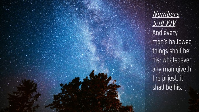 Picture 04 - Numbers 5:10 KJV Desktop Wallpaper - And every man's hallowed things shall be his: - Desktop Bible Verse Wallpaper