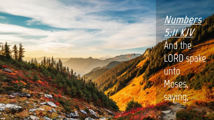 Picture 04 - Numbers 5:11 KJV Desktop Wallpaper - And the LORD spake unto Moses, - Desktop Bible Verse Wallpaper