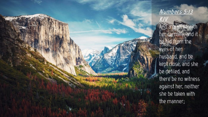Picture 04 - Numbers 5:13 KJV Desktop Wallpaper - And a man lie with her carnally, and it be hid - Desktop Bible Verse Wallpaper