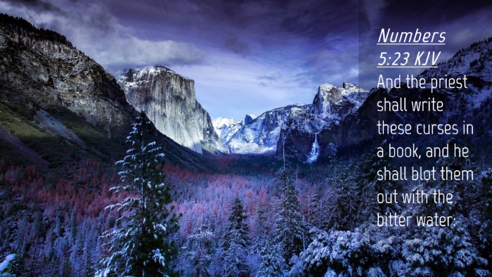 Picture 04 - Numbers 5:23 KJV Desktop Wallpaper - And the priest shall write these curses in a - Desktop Bible Verse Wallpaper