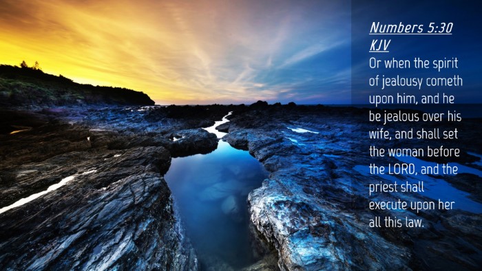 Picture 04 - Numbers 5:30 KJV Desktop Wallpaper - Or when the spirit of jealousy cometh upon him, - Desktop Bible Verse Wallpaper