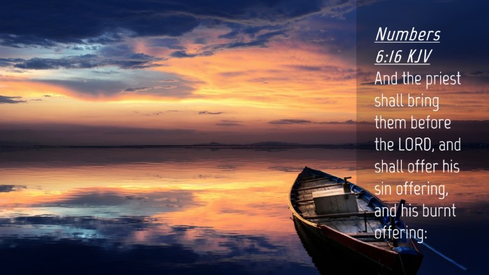 Picture 04 - Numbers 6:16 KJV Desktop Wallpaper - And the priest shall bring them before the LORD, - Desktop Bible Verse Wallpaper