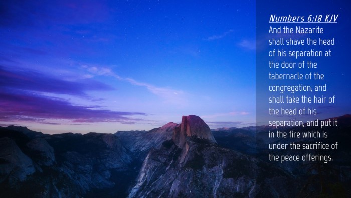 Picture 04 - Numbers 6:18 KJV Desktop Wallpaper - And the Nazarite shall shave the head of his - Desktop Bible Verse Wallpaper